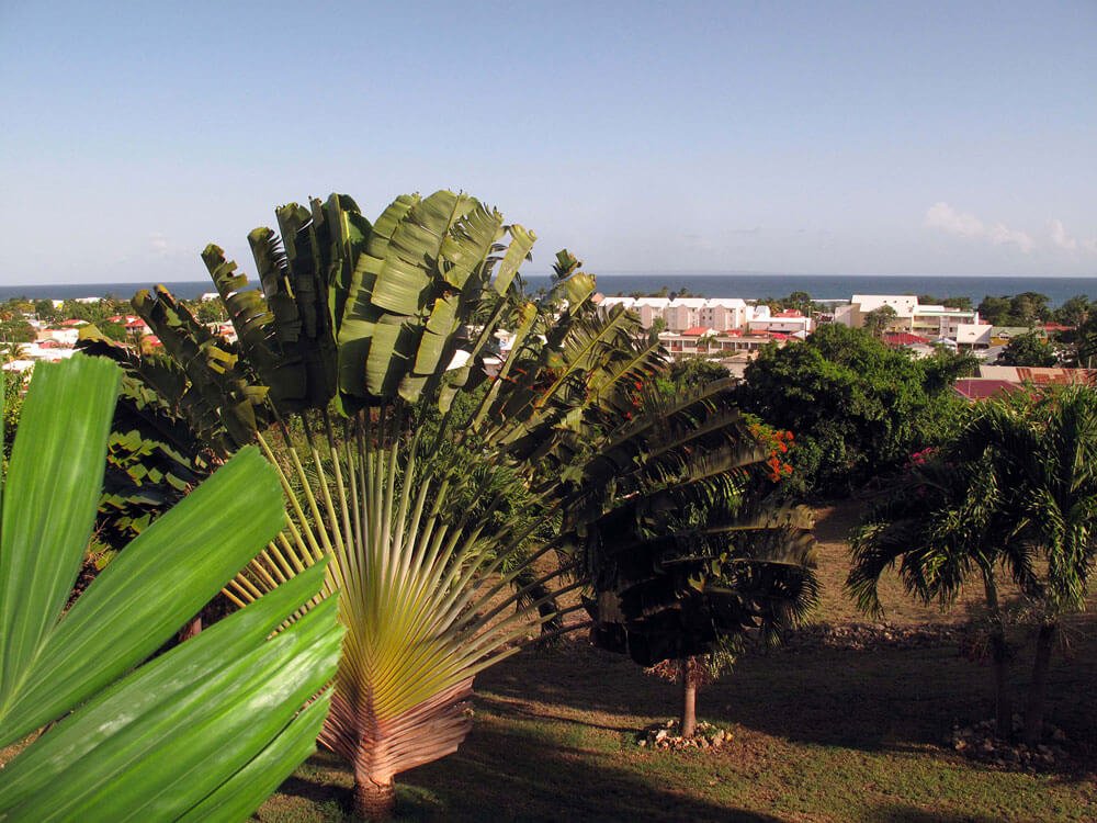 Vue sur la mer des Caraïbes
